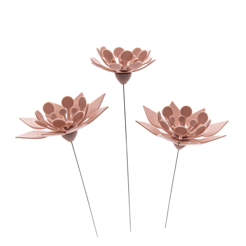 3 grafiske blomster - sart lyserd